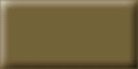 RAL 8000